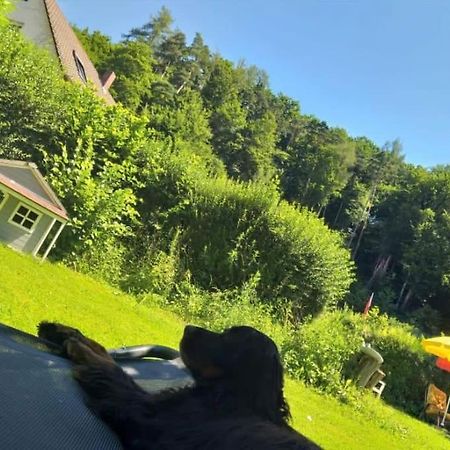 Ferienwohnung - Gruene Oase Stockach Dış mekan fotoğraf