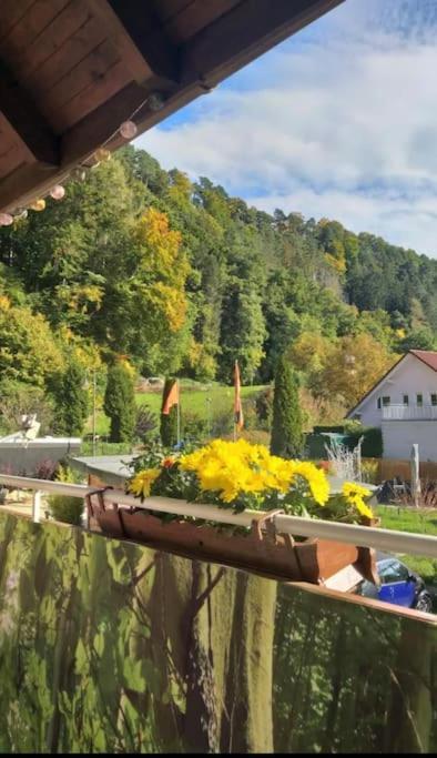 Ferienwohnung - Gruene Oase Stockach Dış mekan fotoğraf