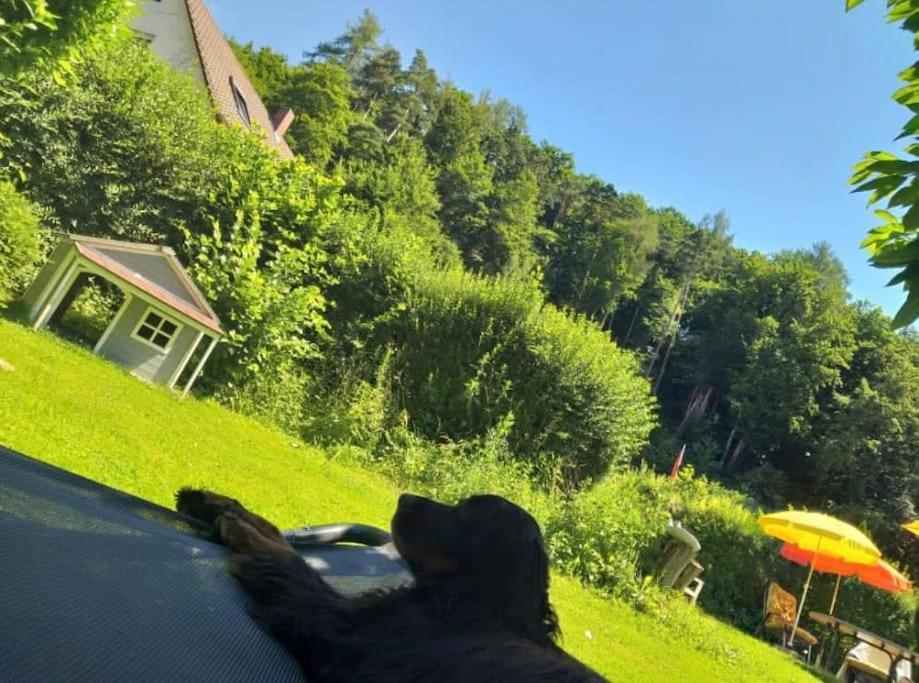 Ferienwohnung - Gruene Oase Stockach Dış mekan fotoğraf